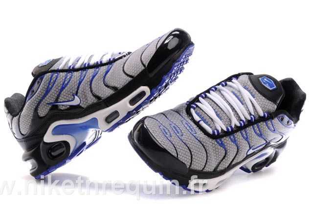 requin tn 2010 (3).JPG